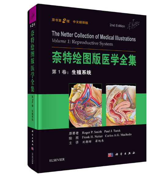 图片[2]-奈特绘图版医学全集第1卷：生殖系统（原书第2版）.彩图PDF电子书下载