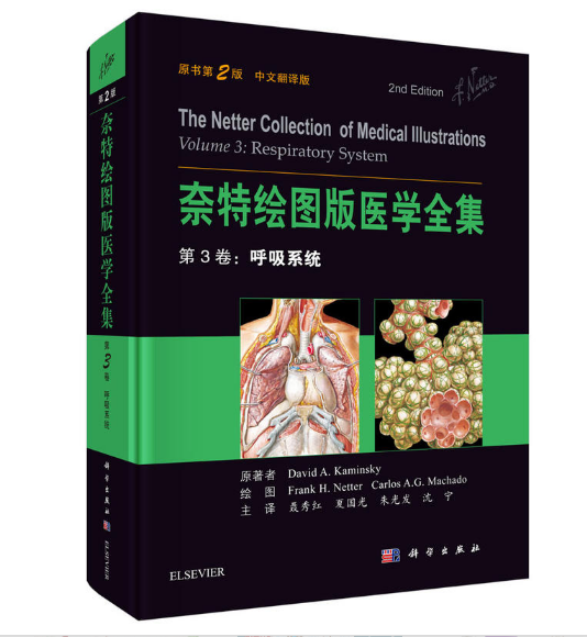 奈特绘图版医学全集第3卷：呼吸系统（原书第2版）.彩图PDF电子书下载