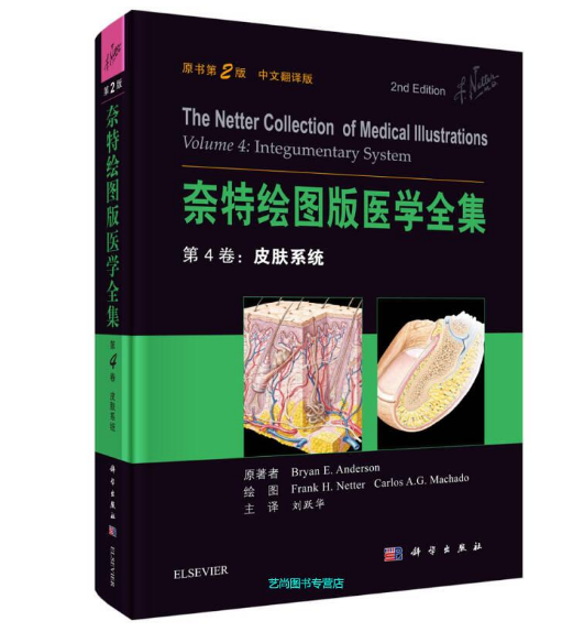 奈特绘图版医学全集第4卷：皮肤系统（原书第2版）.彩图PDF电子书下载