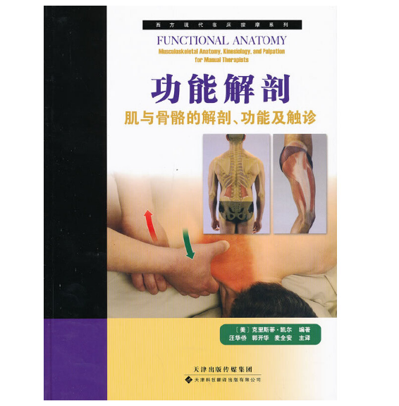 西方现代临床按摩系列《功能解剖：肌与骨骼的解剖、功能及触诊》.PDF电子书下载