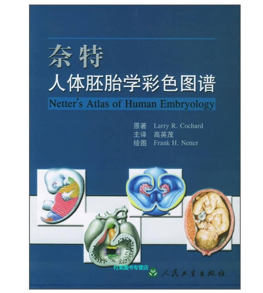 图片[2]-《奈特人体胚胎学彩色图谱》高英茂 主译.PDF电子书下载