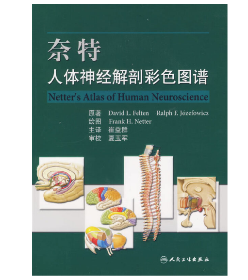 图片[2]-《奈特人体神经解剖彩色图谱》崔益群  主译.PDF电子书下载