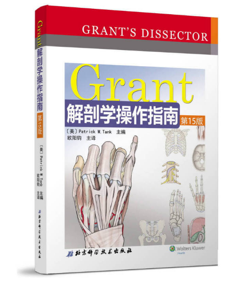 Grant解剖学操作指南（第15版）_欧阳钧译.PDF电子书下载-小燕分享网