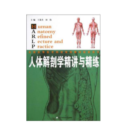 《人体解剖学精讲与精练》王效杰.PDF电子书下载 扫描版医学电子书下载