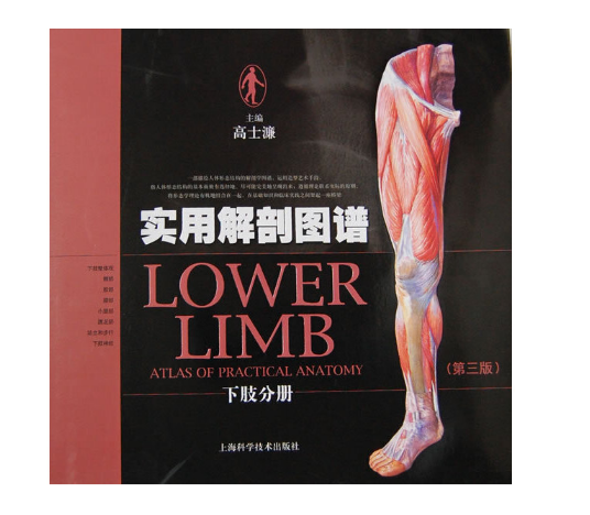 图片[2]-实用解剖图谱-下肢分册（第三版）高士濂.PDF电子书下载