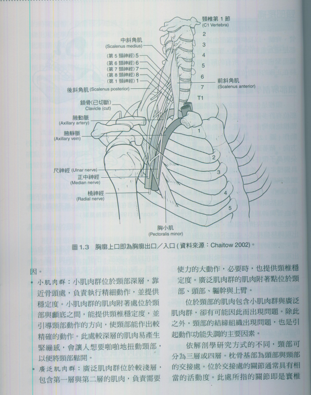 图片[3]-头颈部疼痛-按摩治疗师指引专业系列_刘美玲 译.PDF电子书下载