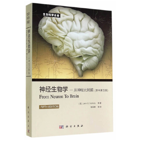 图片[2]-神经生物学-从神经元到脑（原书第五版）杨雄里2014译.PDF电子书下载