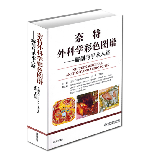 《奈特外科学彩色图谱-解剖与手术入路》丁自海主译.PDF电子书下载