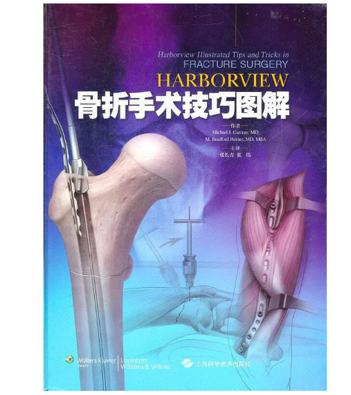 《Harborview骨折手术技巧图解》（美）加德纳.PDF电子书下载