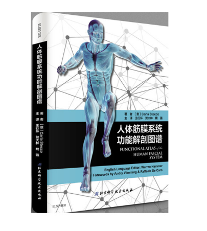 《人体筋膜系统功能解剖图谱》王行环主译.PDF电子书下载
