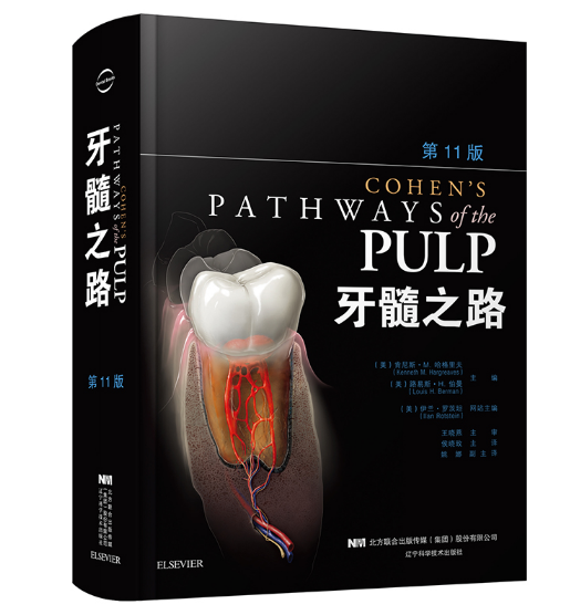 《牙髓之路》第11版中文版_侯晓玫主译.PDF电子书下载