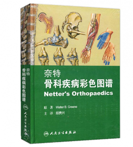 《奈特骨科疾病彩色图谱》邱贵兴 主译.PDF电子书下载-小燕电子书