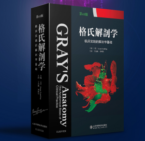 《格氏解剖学 临床实践的解剖学基础》第41版彩色中文版 .PDF电子书下载-小燕电子书