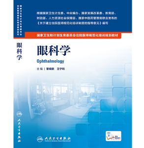 《眼科学》PDF电子书下载 住院医师规范化培训规划教材-小燕电子书