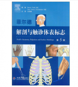 菲尔德解剖与触诊体表标志(第5版)菲尔德著 金荣疆译.PDF电子书下载-小燕电子书
