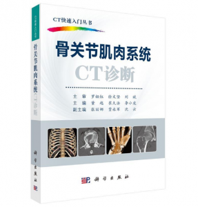 《CT快速入门丛书：骨关节肌肉系统CT诊断》董越主编.PDF电子书下载-小燕电子书