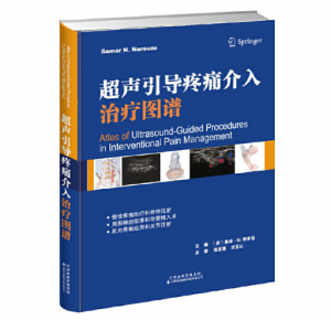 《超声引导疼痛介入治疗图谱》倪家骧主编.PDF电子书下载-小燕电子书