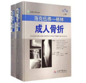 《洛克伍德-格林 成人骨折》上下卷（第7版）裴国献.译.PDF电子书下载-小燕电子书