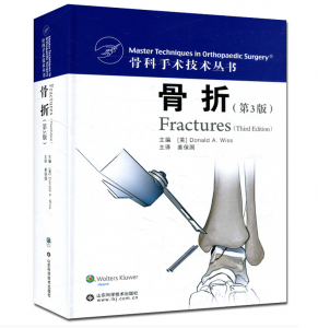 骨科手术技术丛书：骨折第3版_姜保国主译.PDF电子书下载-小燕电子书